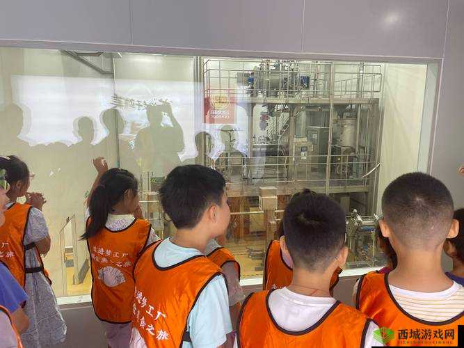 中国 WINDOWS 野外 MGDRCC 魅力:探索自然之美