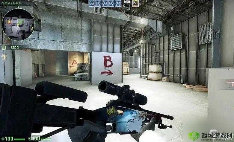 揭秘暴躁老阿姨 csgo 技巧:老阿姨的游戏秘籍