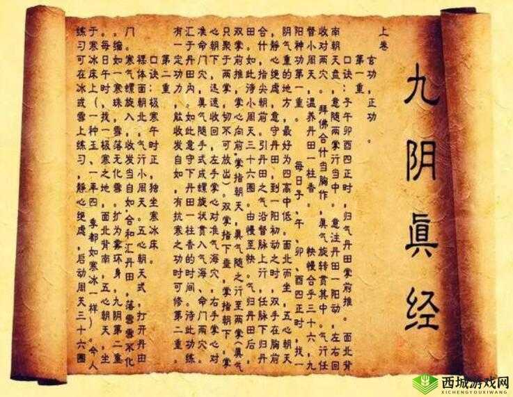 九阴真经 x88888:一部神奇的功法