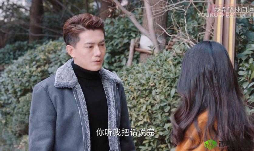 无人高清电视剧在线观看:精彩剧集随心享