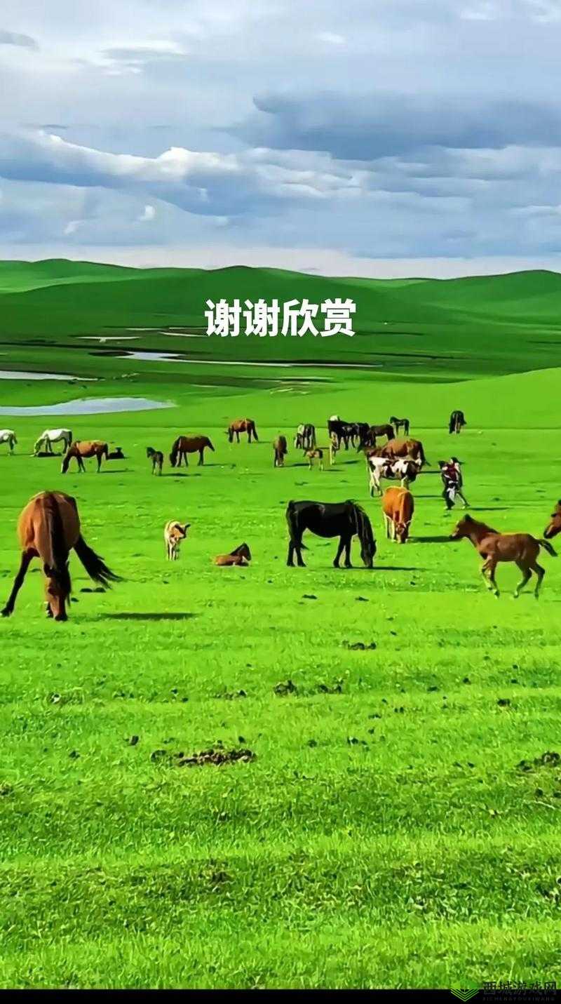 66 成品人视频入口：精彩无限等你来