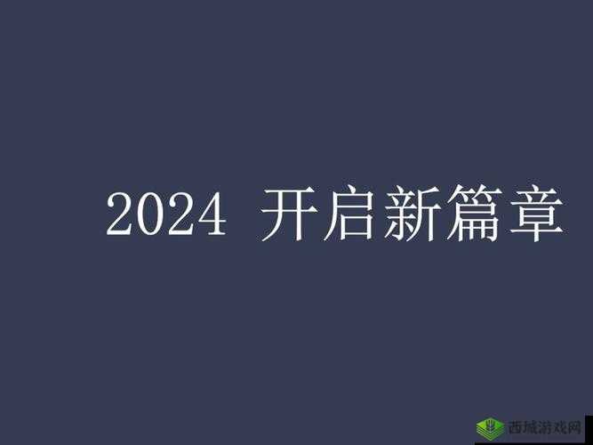 国产精品 2024：开启全新篇章