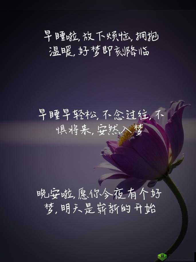 早睡不打扰,攻略助力好梦今晚早点入梦乡的游戏指南