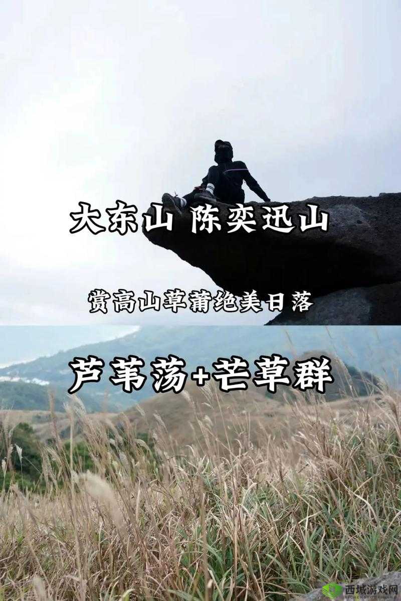 探索山海之巅,万众瞩目的等奖价值究竟几何?