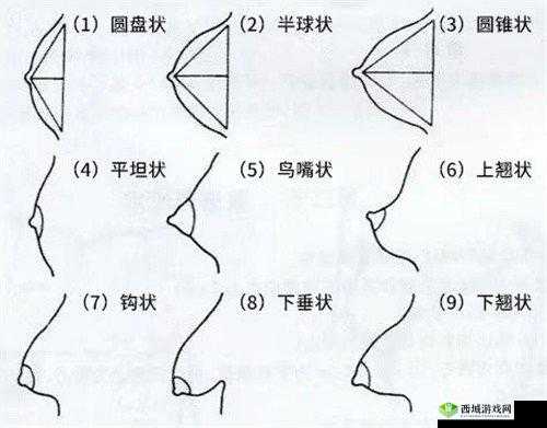 奶头好翘是想要了吗:一种身体反应的探讨