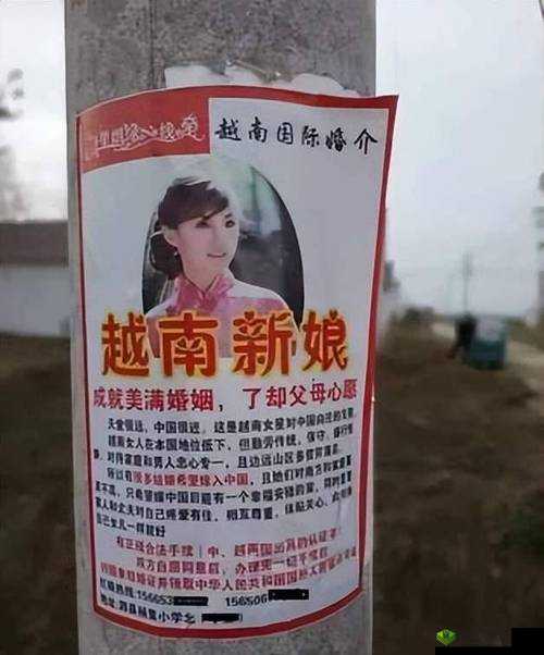 XXXXXLmedjyf 使用评价越南:对其看法