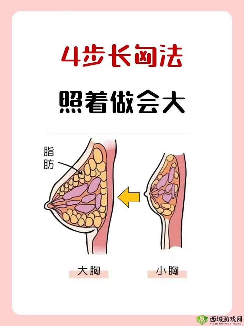 怎么可以让女生的胸变大一点:探索有效的自然方法