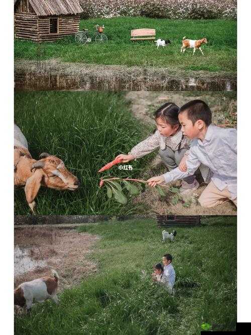 一小孩半夜和妈妈摘萝卜:展现亲子互动的温馨瞬间