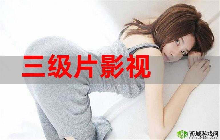 成人片色好的 Y31 影视短片:独特视角呈现精彩剧情