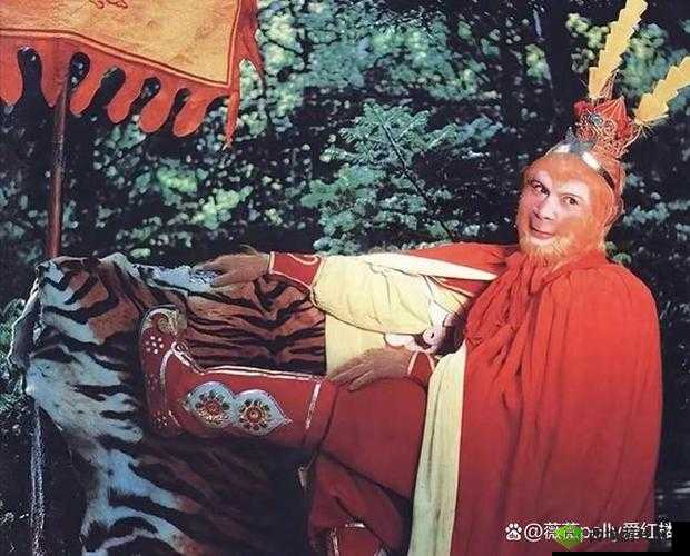 黛玉初试金箍棒:一段禁忌的直接白嫖之旅