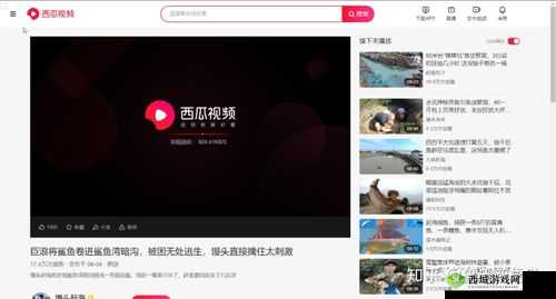 香蕉西瓜草莓茄子视频 APP全新升级,带来更多精彩内容