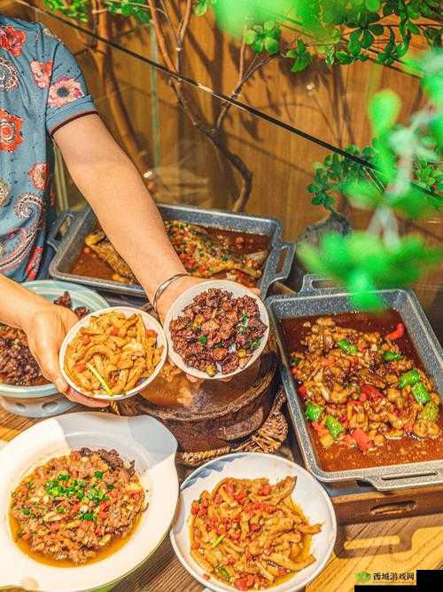 中文字日产幕码三区的做法大全:探索不同地域的美食密码