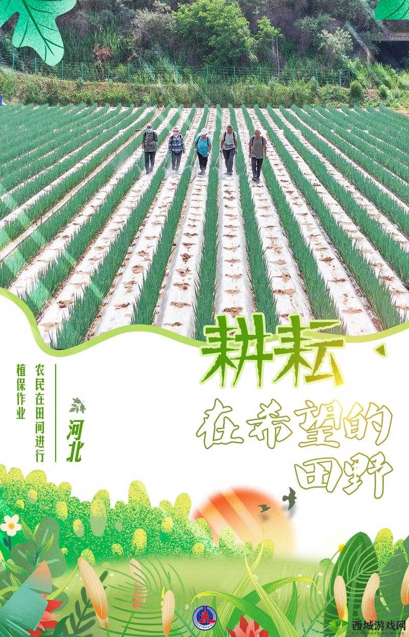 耕耘母亲肥沃的土地:开垦生命的希望之源
