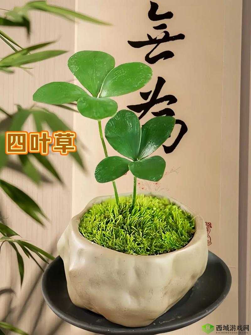 成品人和精品人的区别四叶草:深入探究两者差异及背后意义