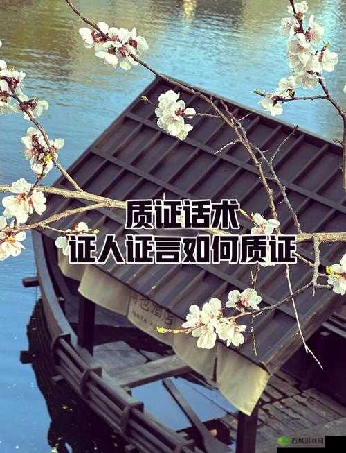 揭开谜团,以关键词为核心的风闻与证词证据解析