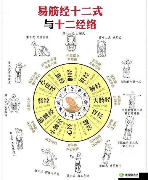 探秘武林绝学，易筋经的深度解读与学习之道