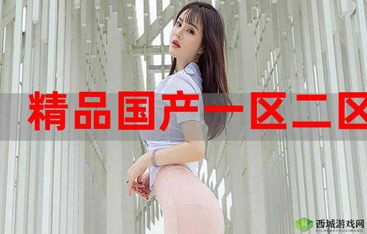 国精产品一区二区三区有限:引领行业创新的先锋