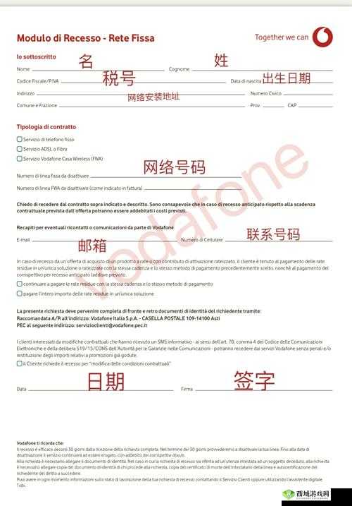欧洲 vodafonea18:关于它的详细介绍与分析