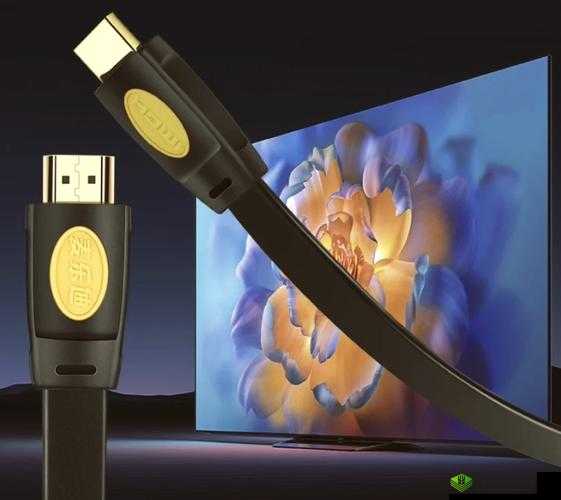 Xbox 高清视频线 :带来极致游戏视觉体验的必备利器