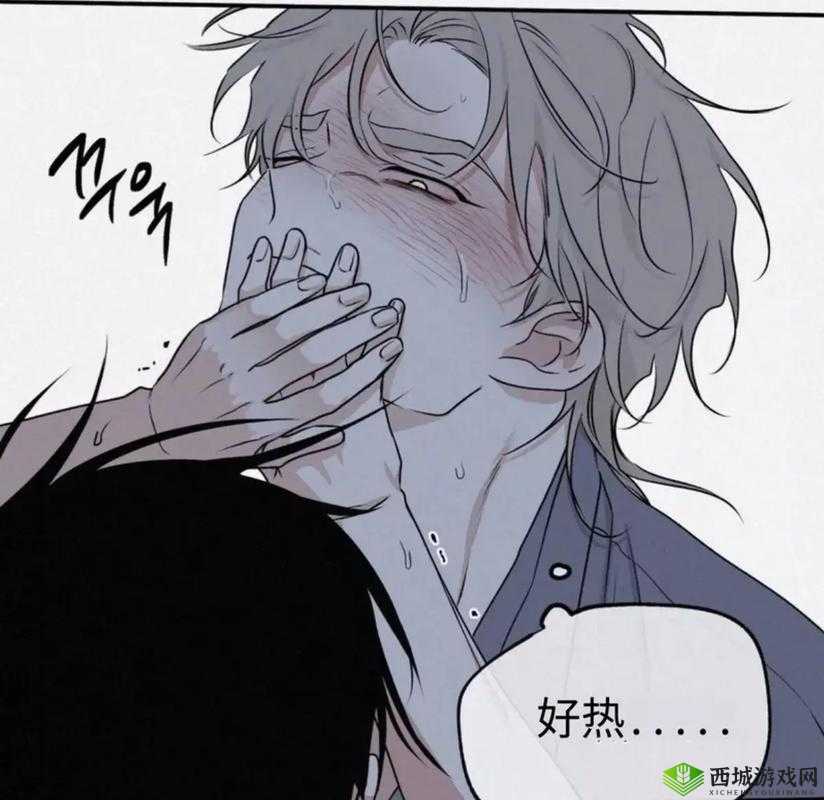双男主车图:禁忌之爱与欲望的交织