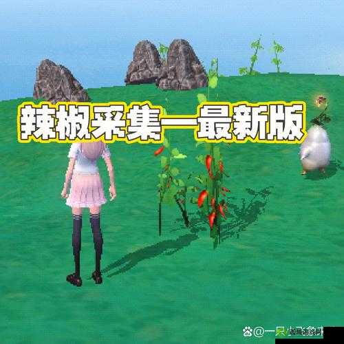 探索创造与魔法的奇妙世界,稀有食材的寻觅之旅