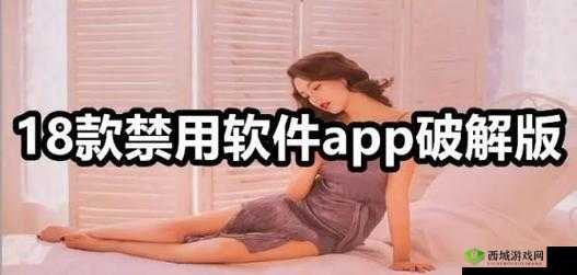 夜晚免费禁用十大亏亏破解版:尽享私密时光的神器