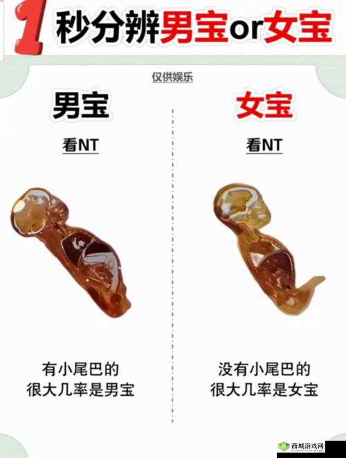 什么是 BBWBBW?另类国内 BBWBBW 现象大揭秘,你了解多少?