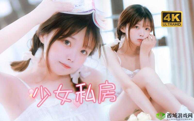 哔哩哔哩少女入口是什么?为何它在网络上如此受关注?快来一探究竟