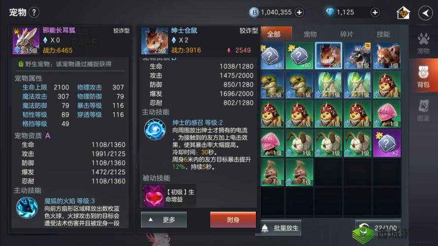 余烬风暴中的全能守护者，圣骑士职业技能属性全解析