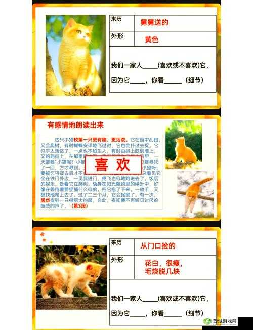 猫语咖啡探长怎么样,技能介绍与攻略演变史