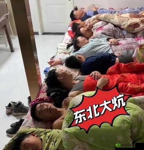东北大乱炕第二部到底有何精彩之处?快来一探究竟