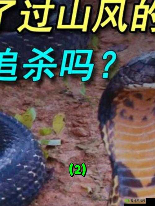 玩过都说上头！超简单却停不下来的蛇蛇碰碰碰，真相太戳人了！